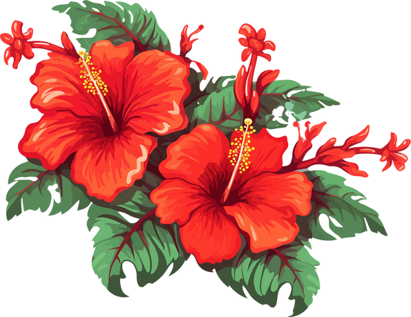 Red Hibiscus Flower  with Leaves